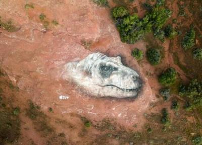 دایناسور های بزرگ روی زمین نقاشی شدند